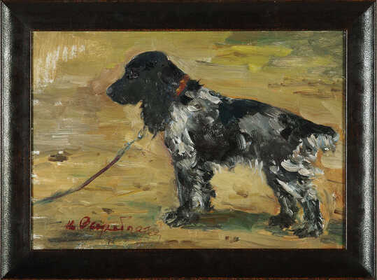 Скоробогатов Игорь Константинович. Спаниель 